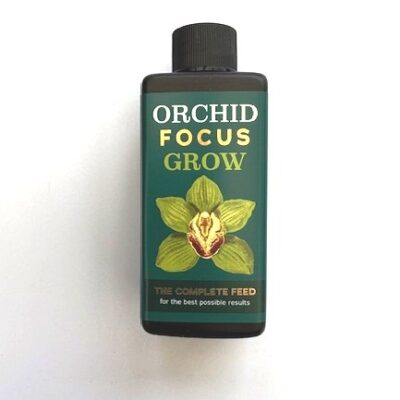 Orchid Focus Grow