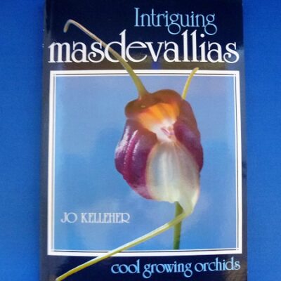 Intriguing Masdevallias by Jo Kelleher