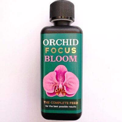 Orchid Focus Bloom