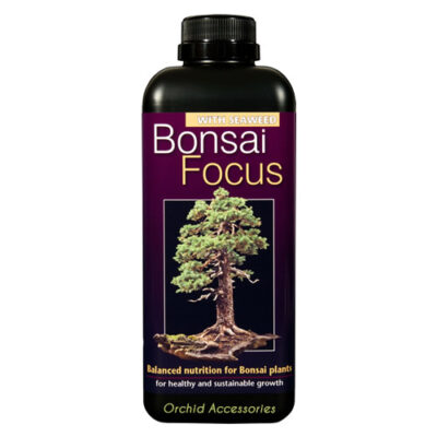 Bonsai Focus