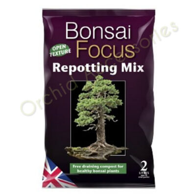 Bonsai Focus Repotting Mix