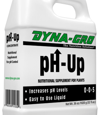pH-Up 0-0-8 - 8oz