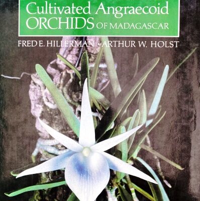 The Cultivated Angraecoid Orchids of Madagascar